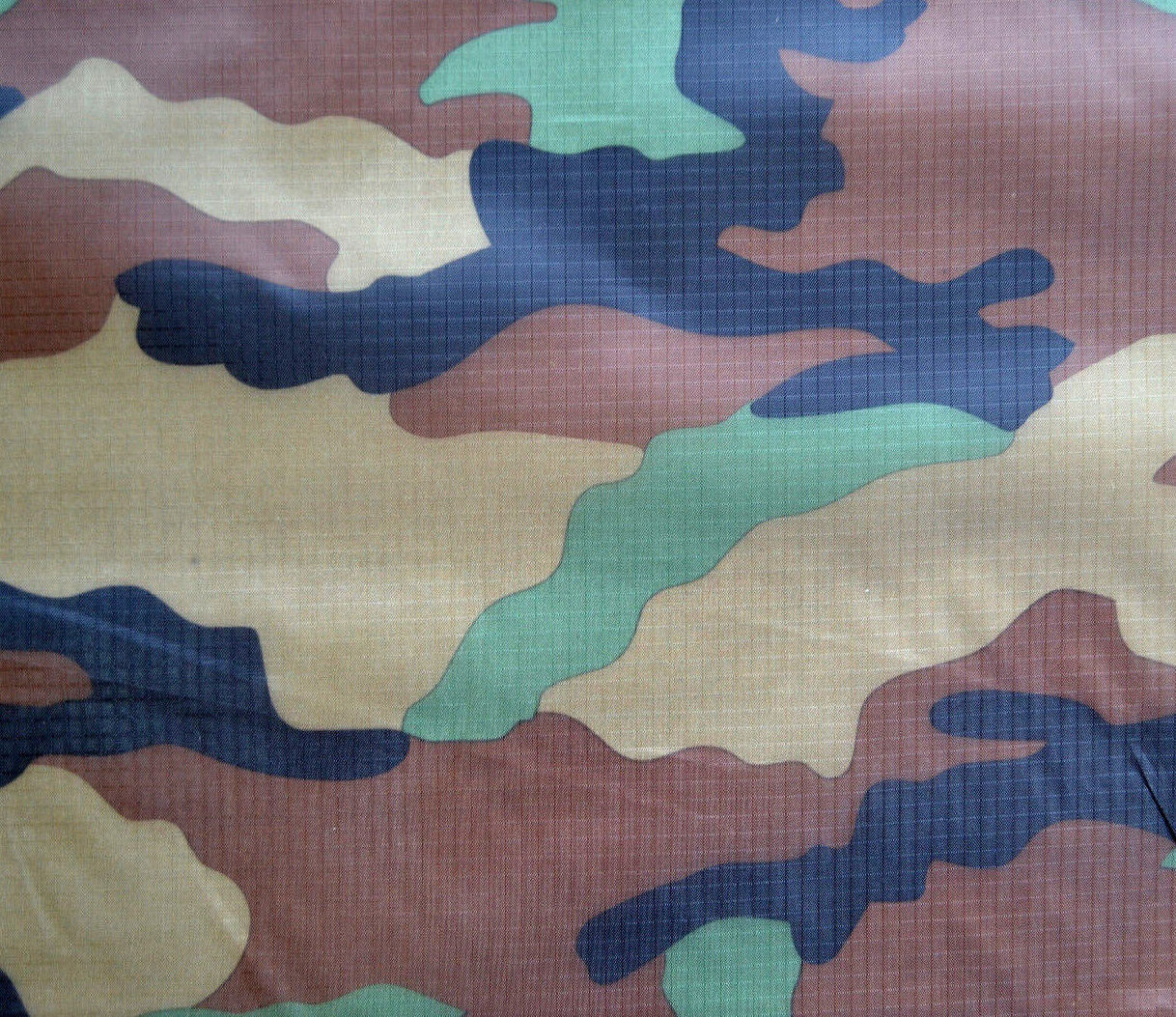 Image #6